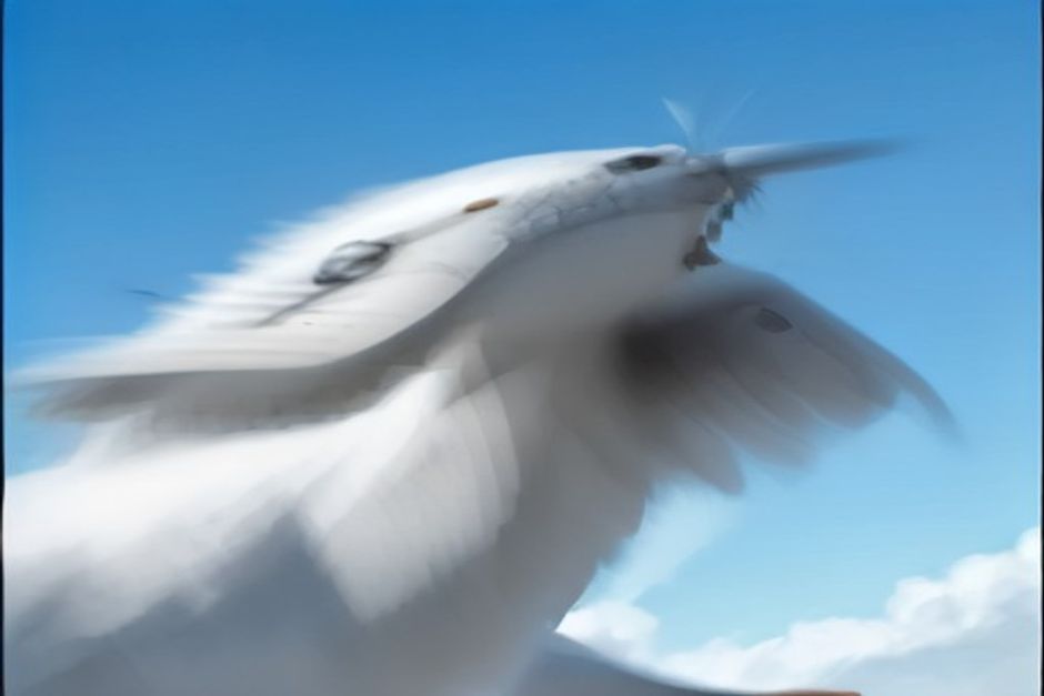 Near Miss: Flight Drops Altitude, Injuring Passengers