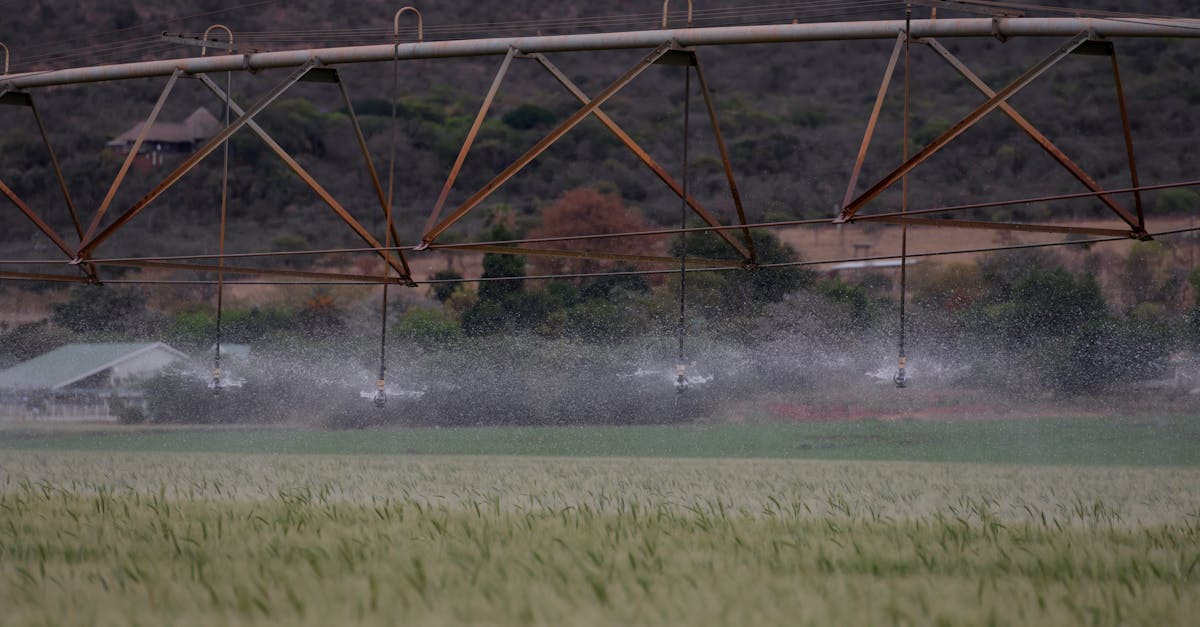 Smart Sprinkler: Genius or Gimmick?