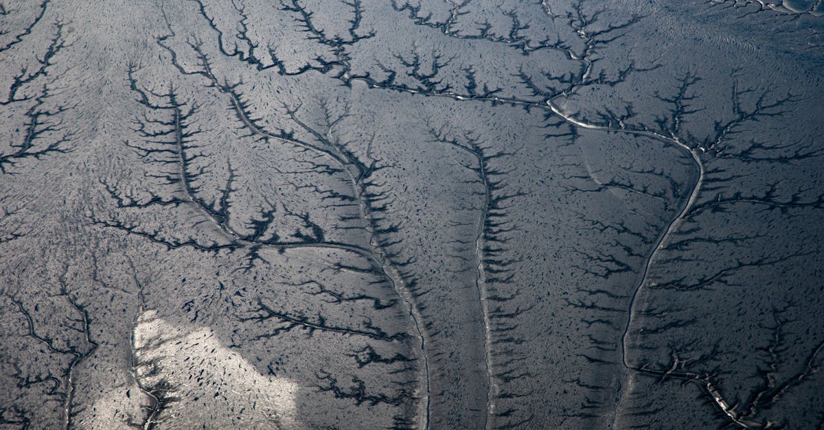 Artemis II Astronauts Capture Earth's Breathtaking Beauty