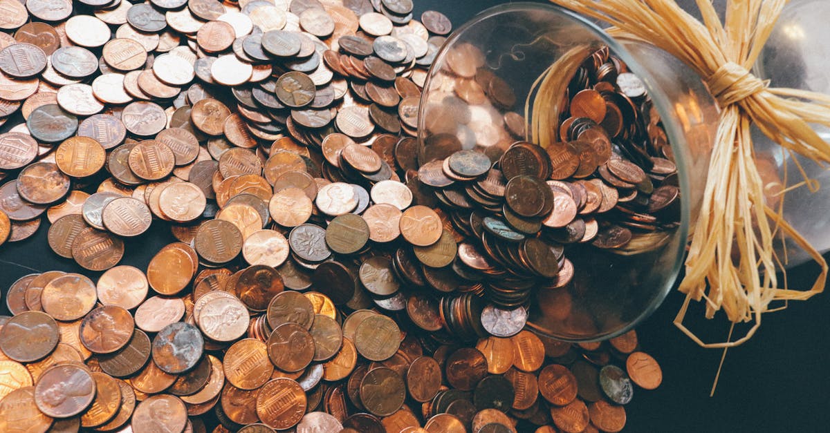 US Border Patrol Nonprofits Under Fire for Controversial Coins