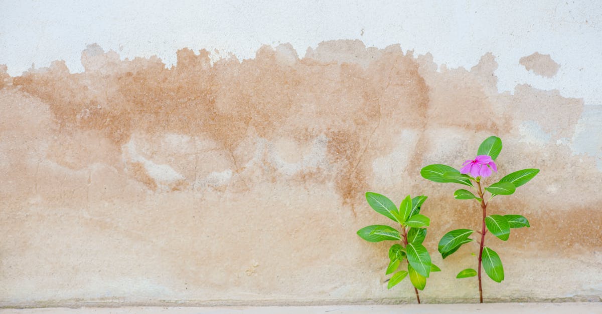 Weather Star Shares Personal Journey of Loss and Hope