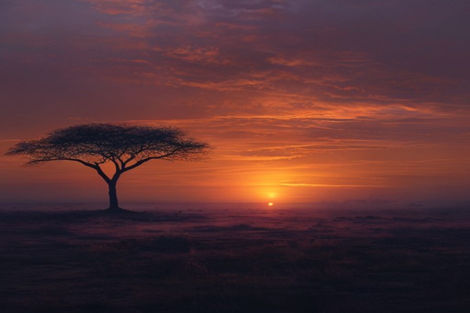 Africa Braces for Impact Amidst Middle East Tensions