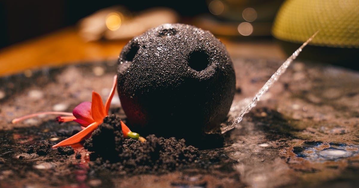 Artemis II Astronauts Showcase Space Food