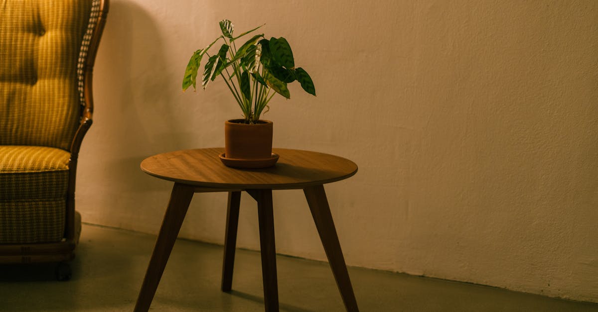 LA's Stylish Mid-Century Modern Furniture Thief Exposed