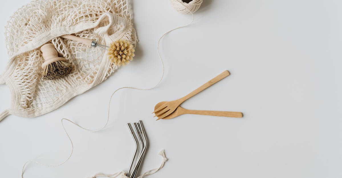 Sustainable Living Festival Draws Massive Crowds