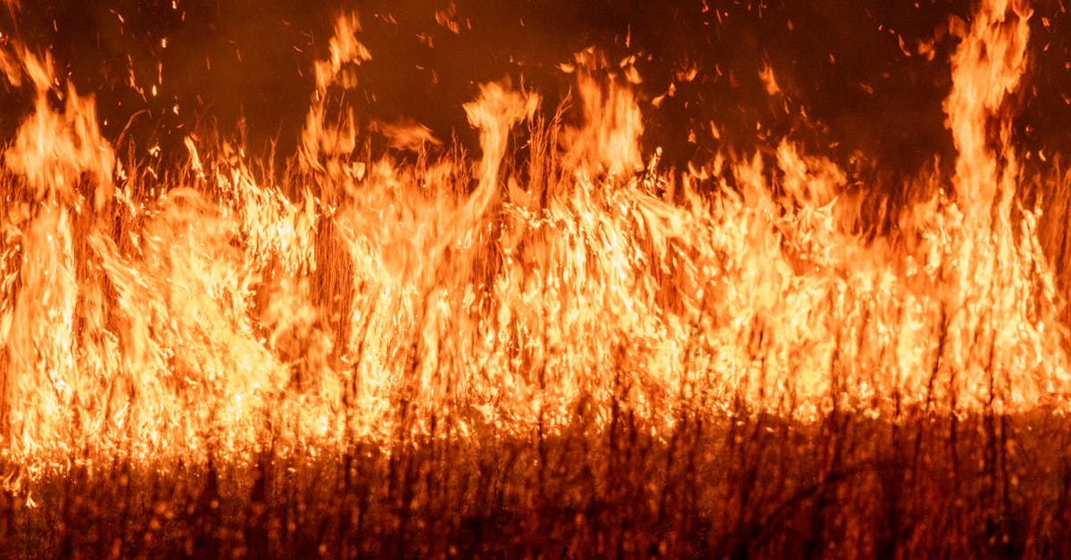 California Blaze Forces Mass Evacuations