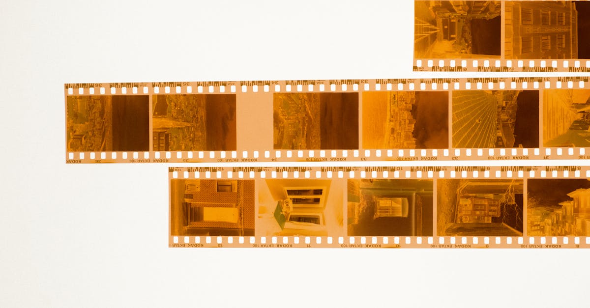 Nolan's Labyrinth of Memory and Identity